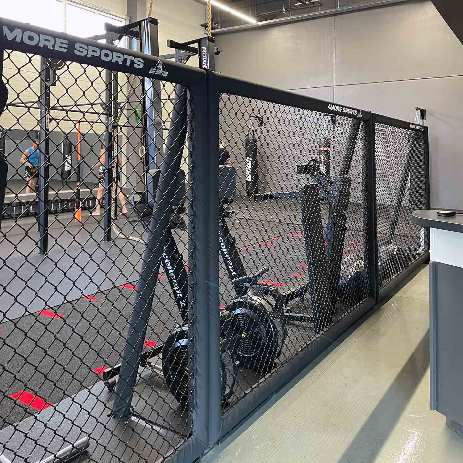 CAGE WALL RUMBLE SINGLE