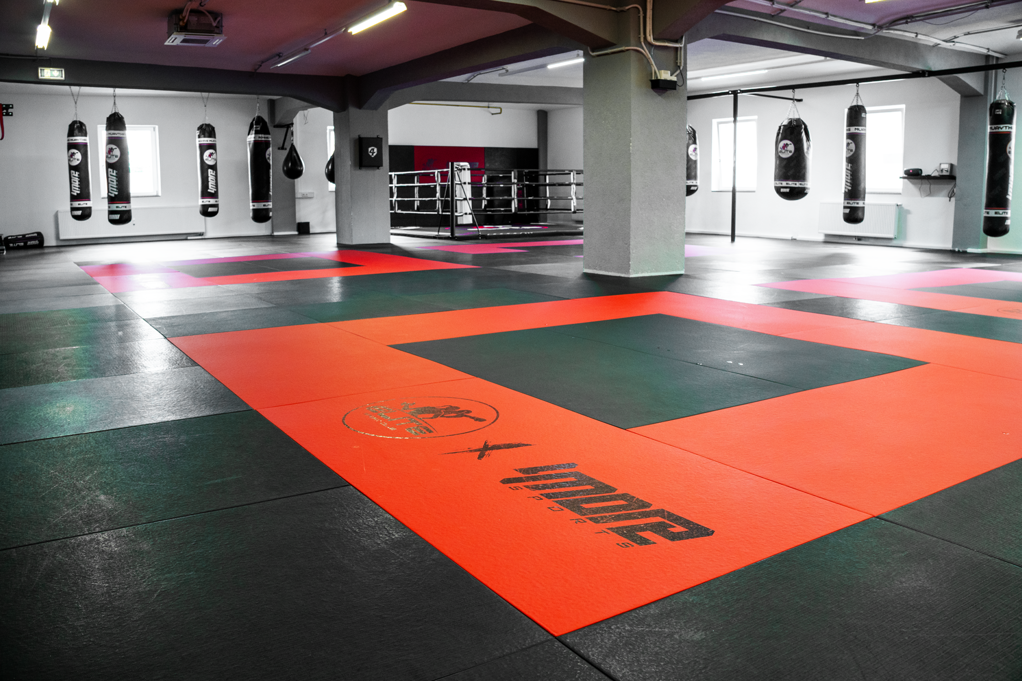 MATTEN ZEBRA MMA TATAMI MATTEN ZEBRA MMA TATAMI